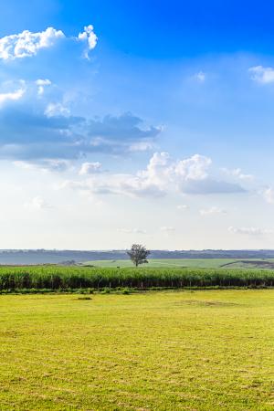 IMG_1497.jpg