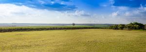 IMG_1505-Pano.jpg