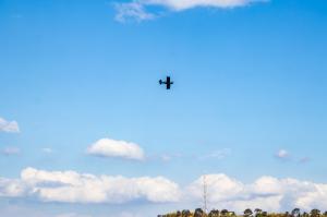 IMG_7342.jpg