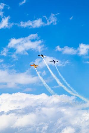 IMG_7390.jpg