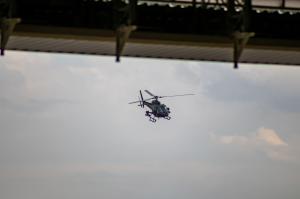 IMG_2831.jpg
