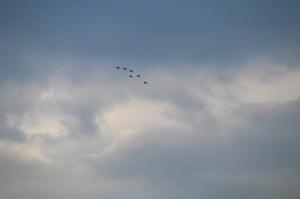 IMG_2837.jpg