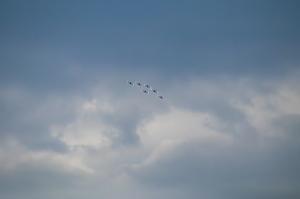 IMG_2840.jpg