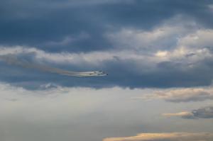IMG_2841.jpg