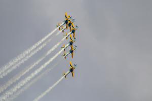 IMG_2847.jpg