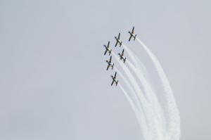 IMG_2848.jpg