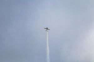 IMG_2867.jpg