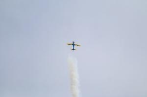 IMG_2869.jpg