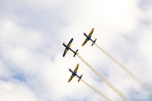 IMG_2920.jpg