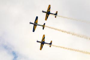 IMG_2924.jpg