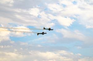 IMG_2977.jpg