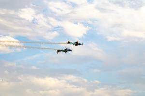 IMG_2978.jpg