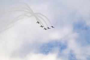 IMG_3036.jpg