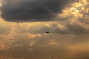IMG_3557.jpg