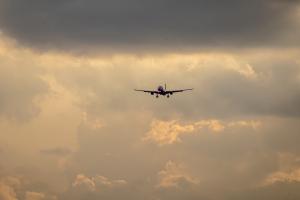IMG_3560.jpg
