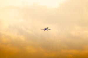 IMG_3728.jpg