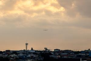 IMG_3749.jpg