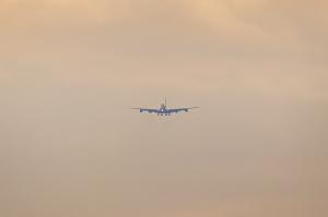 IMG_3751.jpg