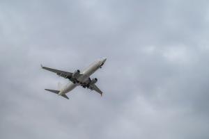 IMG_3864.jpg