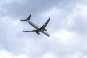 IMG_3868.jpg